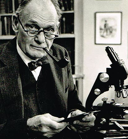 Portrait of John Franklin Enders, photograph, late 1950s?, St. Paul’s School (sps.edu)