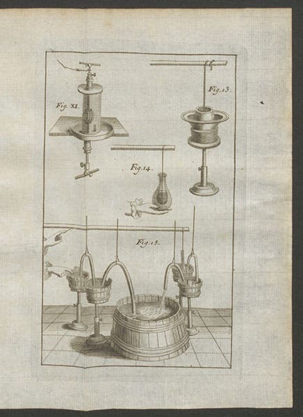 Leyden jar (center) with other electrical apparatus, engraving, Jean Jallabert, Experiences sur l’electricité, 1748 (Linda Hall Library)