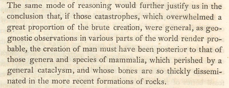 Detail of the fourth page of Charles Konig’s article, concluding that “the creation of man must have been posterior to that of those genera and species of mammalia, which perished by a general cataclysm”, in Philosohical Transactions of the Royal Society of London,1814 (Linda Hall Library)