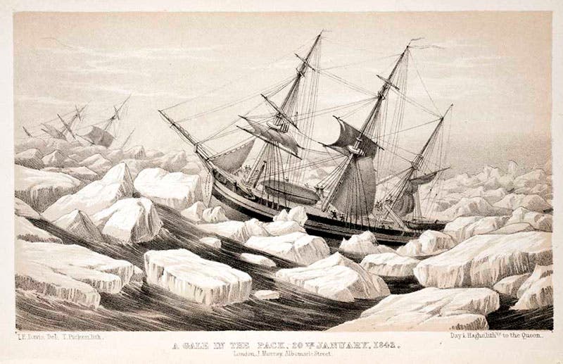 HMS Erebus in an Antarctic icepack during a gale, 1842, detail of an engraved plate in A Voyage of Discovery and Research in the Southern and Antarctic Regions during the Years 1839-1843, by James Clark Ross, 1847 (Linda Hall Library)