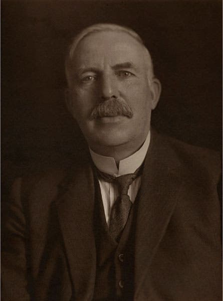 Ernest Rutherford, portrait, platinum print, 1920s, National Portrait Gallery, London (npg.org.uk)
