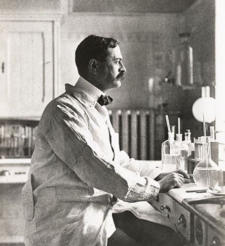 A younger Karl Landsteiner in the lab, photograph, unknown date (@nobelprize on facebook.com)
