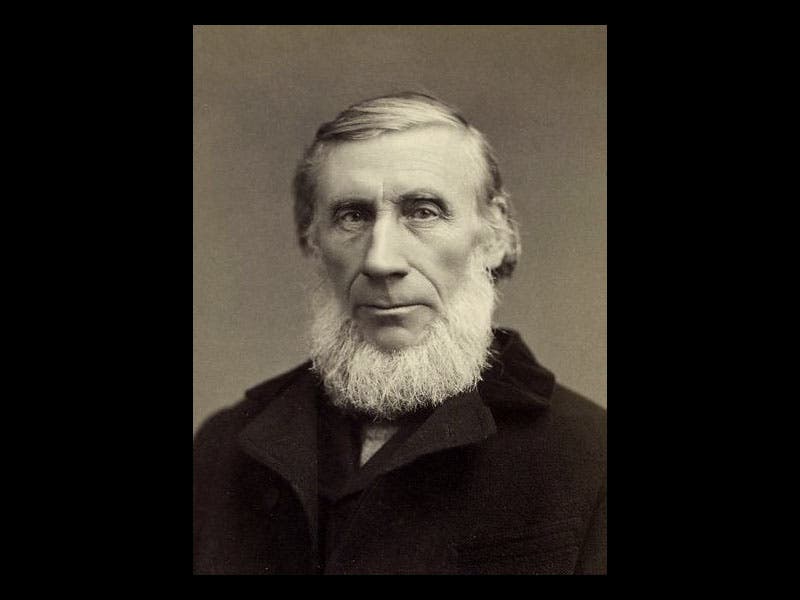 New York Public Library