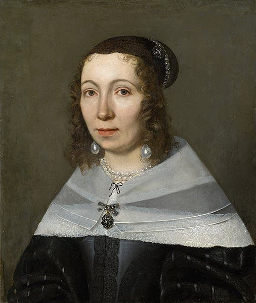Portrait of Maria Merian, oil on canvas, by Jacob Marrel , 1679, Kunstmuseum, Basel (Wikimedia commons)