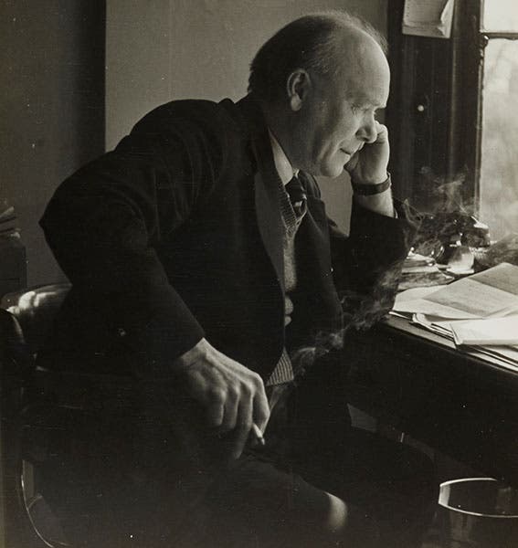 Portrait of William T. Astbury, undated photograph, Brotherton Library, University of Leeds (whatisbiotechnology.org)