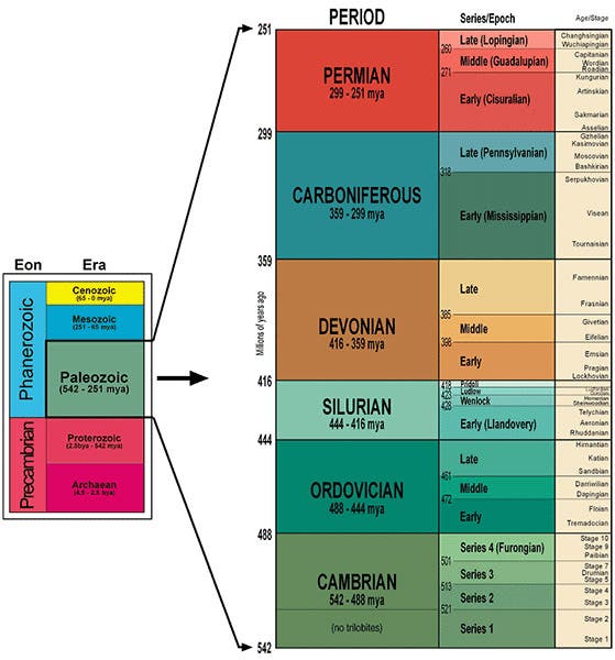 A modern geological column for the Paleozoic era, showing the position of Lapworth’s Ordovician system in relation to the Cambrian, Silurian, and Devonian systems (trilobites.info)