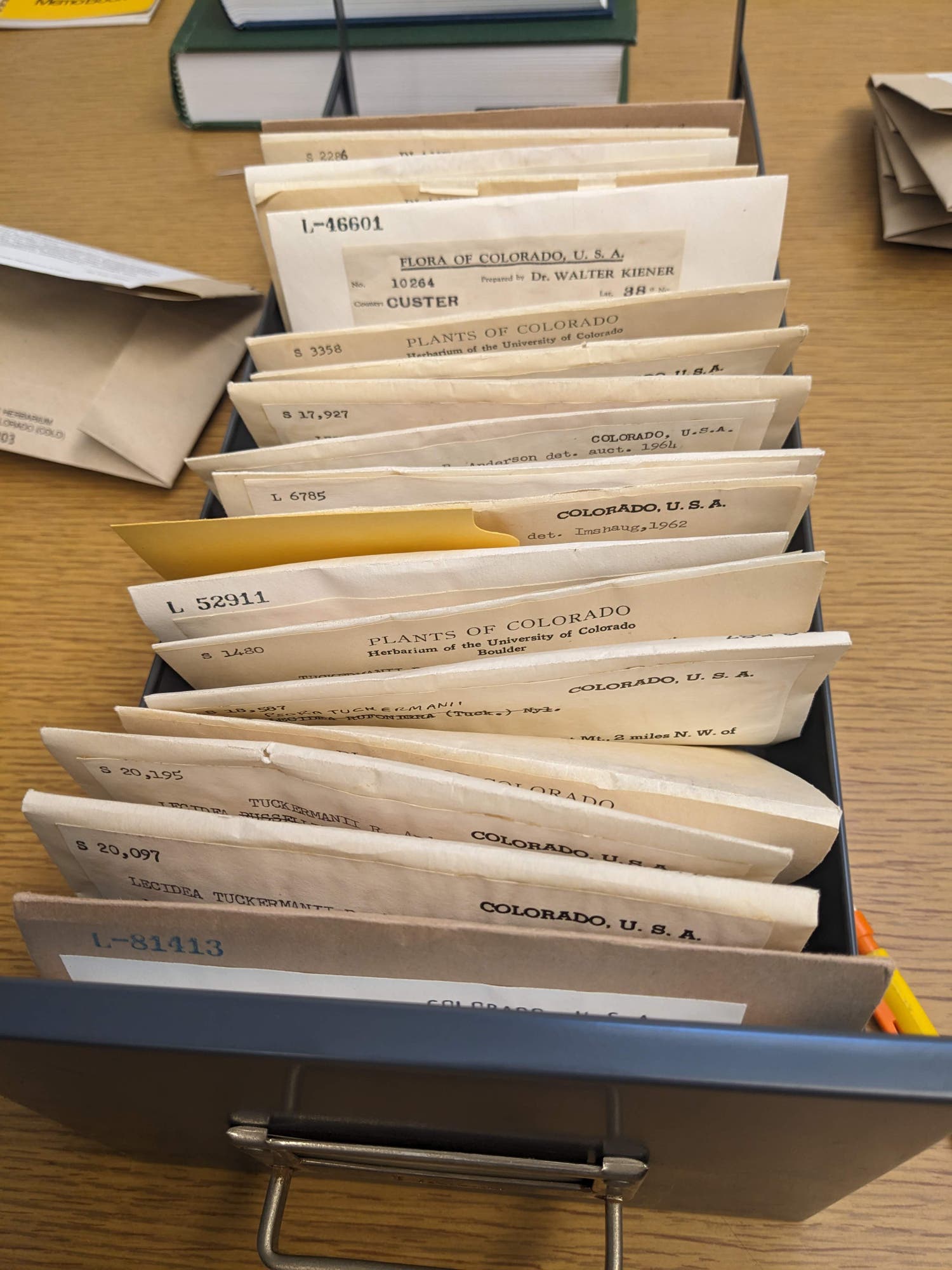 A drawer of herbarium specimens at the Colorado University COLO Herbarium in Boulder, CO. Photograph courtesy of Rhiannon Alpers.