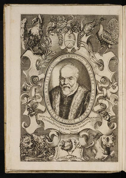 Ulisse Aldrovandi, portrait, in his Ornithologiae, 1599.