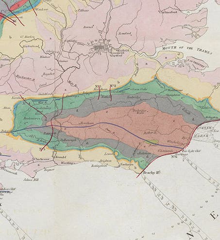 Detail of geological map of southeast England, showing the Weald and the Isle of Wight, accompanying an article by William Henry Fitton, Transactions of the Geological Society of London, 2nd ser., vol. 4, 1836 (Linda Hall Library)