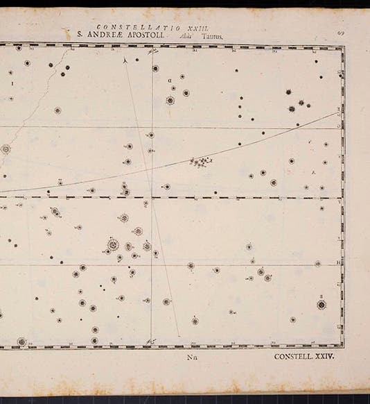 St. Andrew or Taurus, counterproof before constellation figures were added, plate 23, Julius Schiller, <i>Coelum stellatum Christianum concavum</i>, 1627 (Linda Hall Library)