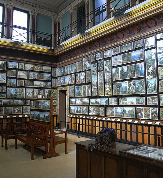 Marianne North Gallery, Kew Gardens (Wikipedia)