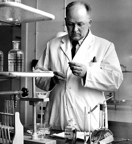 Fritz Strassmann in the lab, photograph, undated, 1960s? (sway.com)