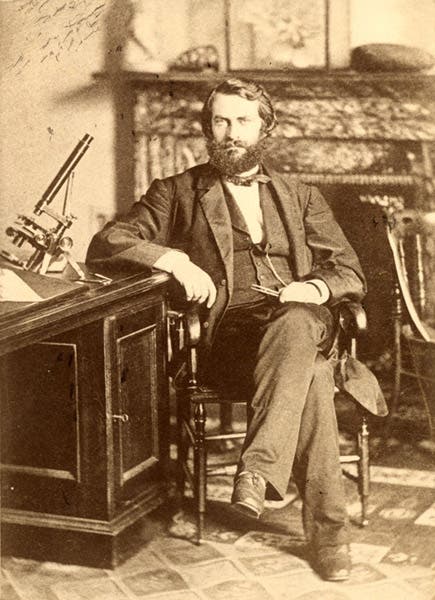 Portrait of Joseph Leidy, undated photograph, Academy of Natural Sciences of Drexel University, Philadelphia (photo courtesy of Robert M. Peck, Academy of Natural Sciences)