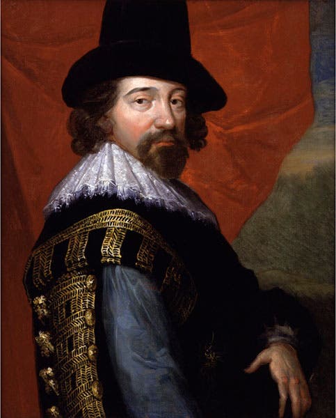 Portrait of Francis Bacon, oil on canvas, by John Vanderbank, 1731, after a portrait, ca 1618, by an unknown artist, National Portrait Gallery, London (npg.org.uk)