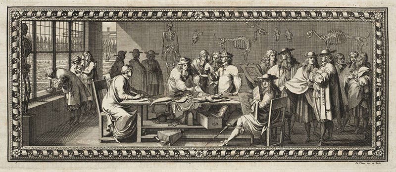 Paris Academy anatomists at work, engraved headpiece in Claude Perrault, Memoires pour servir à l'histoire naturelle des animaux, 1676 (Linda Hall Library)