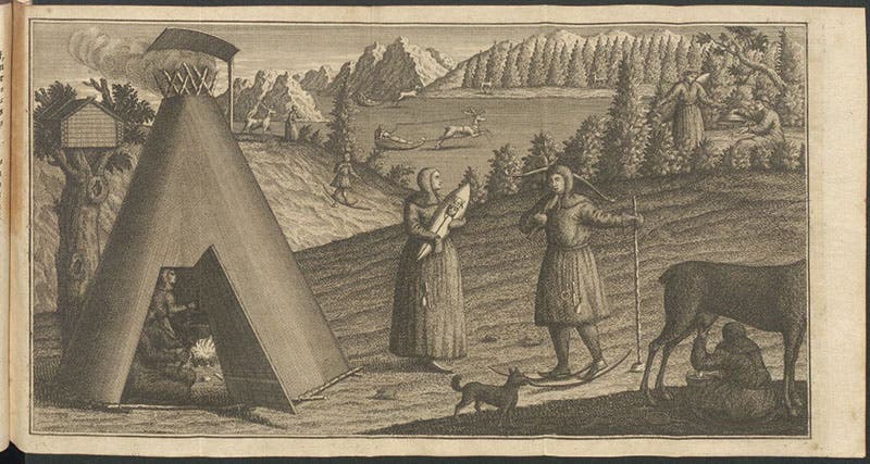 Scene depicting Sami life and activities, folding etched and engraved plate, in Beschreibung von Lappland, by Pehr Högström, 1748 (Linda Hall Library)