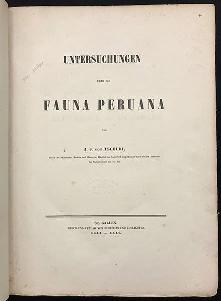 Title page, Untersuchungen über die fauna Peruana, by Johann Jakob von Tschudi, 1844-46 (Linda Hall Library)