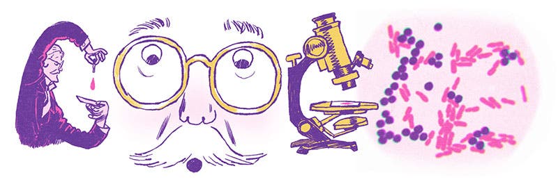 Google Doodle, Sep. 13, 2019, honoring Hans Christian Gram and Gram staining (google.com)