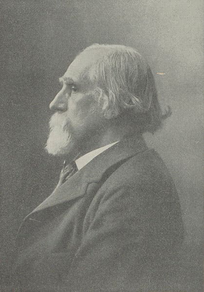 Portrait of Ogden Rood, half-tone photograph, Popular Science Monthly, 1902-03 (Linda Hll Library)