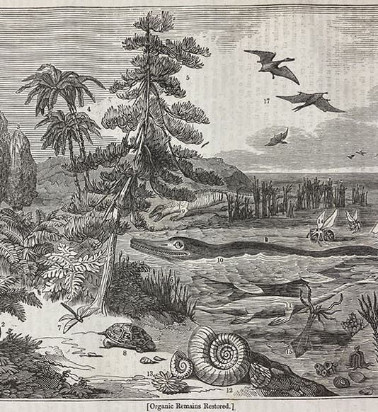 “Organic Remains Restored,” cover woodcut, The Penny Magazine, vol. 2, no. 100, p. 408, Oct. 26, 1833 (The Linda Hall)