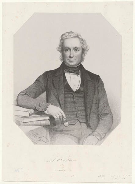 Second portrait of John Stevens Henslow, lithograph by Thomas Maguire, 1851, National Portrait Gallery, London (npg.org.uk)