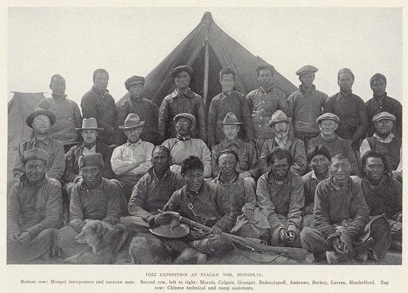 Group portrait of the 1922 expedition in the field; Walter Granger is third from the left in the center row, in the light shirt; photograph in The New Conquest of Central Asia, by Roy Chapman Andrews et al., 1932 (Linda Hall Library)