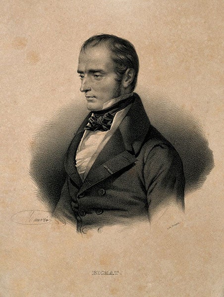 Lithograph portrait of Bichat (Wellcome Collection)