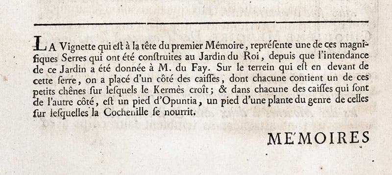Caption for the vignette that introduces volume 2 of Mémoires pour servir a l'histoire des insectes, by Réne-Antoine Ferchault de Réaumur, explaining the display at the Jardin des plantes in Paris of prickly pear cacti (Opuntia) and the tiny cochineal insects that feed on them, vol. 2, 1736 (Linda Hall Library)
