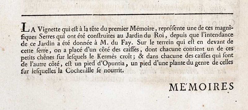 Caption for the vignette that introduces volume 2 of Mémoires pour servir a l'histoire des insectes, by Réne-Antoine Ferchault de Réaumur, explaining the display at the Jardin des plantes in Paris of prickly pear cacti (Opuntia) and the tiny cochineal insects that feed on them, vol. 2, 1736 (Linda Hall Library)