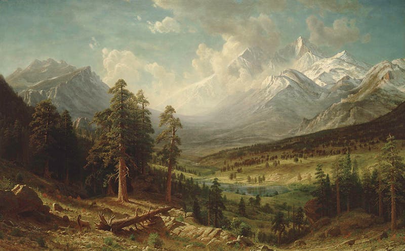 Estes Park, Long’s Peak, oil painting by Albert Bierstadt, 1876 (Denver Art Museum via Wikimedia commons)