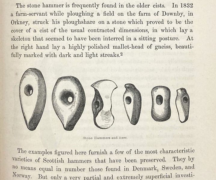 Prehistoric polished stone tools from Scotland, wood engraving, The Archaeology and Prehistoric Annals of Scotland, by Daniel Wilson, 1851 (Linda Hall Library)