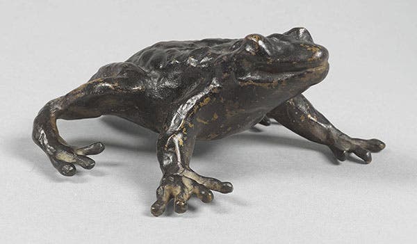 Crapaud (toad), bronze sculpture by Diego Giacometti, undated, sold at Sotheby’s auction, Nov. 15, 2017 (sothebys.com)