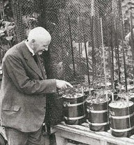 Hermann Hellriegel (left) with sand-culture-grown legumes, undated photograph, Hochschule Anhalt (hs-anhalt.de)