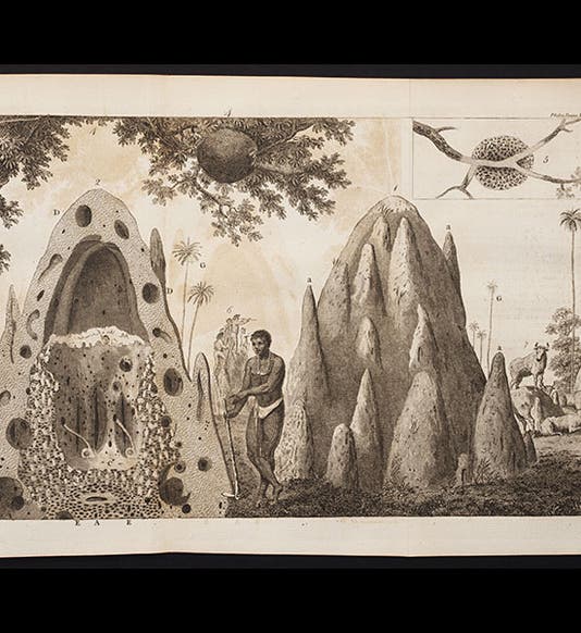 <p>Linda Hall Library</p>