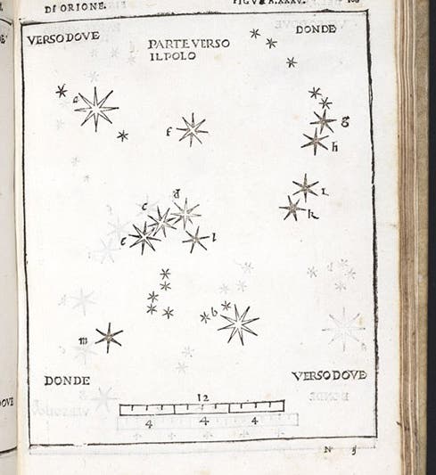 The constellation Orion, woodcut in De la sfera del mondo … De le stelle fisse, by Alessandro Piccolomini, plate 35, 1540 (Linda Hall Library)