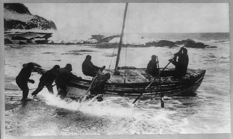 Launch of the James Caird from Elephant Island, Apr. 24, 1916, photo by Frank Hurley; Harry McNish is one of the seven men here (six would end up on board), Library of Congress (loc.gov)