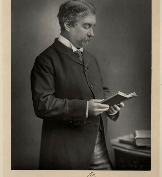 Portrait of Norman Lockyer, photograph, 1889 (National Portrait Gallery, London)