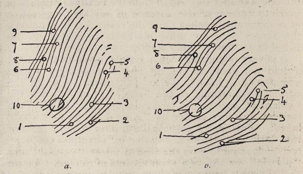 Image source: Galton, Francis F. “Finger Print Evidence.” Nature, vol. 66, no. 606, 1902. View Source