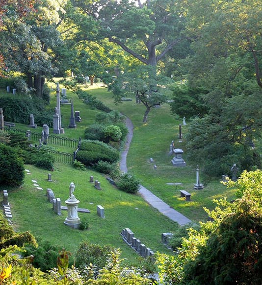 Mount Auburn Cemetery, between Cambridge and Watertown, Massachusetts (popsci.com)