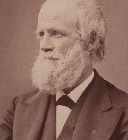 Portrait of Benjamin Franklin Mudge, undated photograph, Dept. of Entomology, Kansas State University (entomology.k-state.edu)