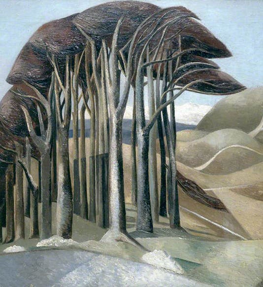 Wood on the Downs, oil on canvas, by Paul Nash, 1929, Aberdeen Archives, Gallery & Museums (artuk.org)