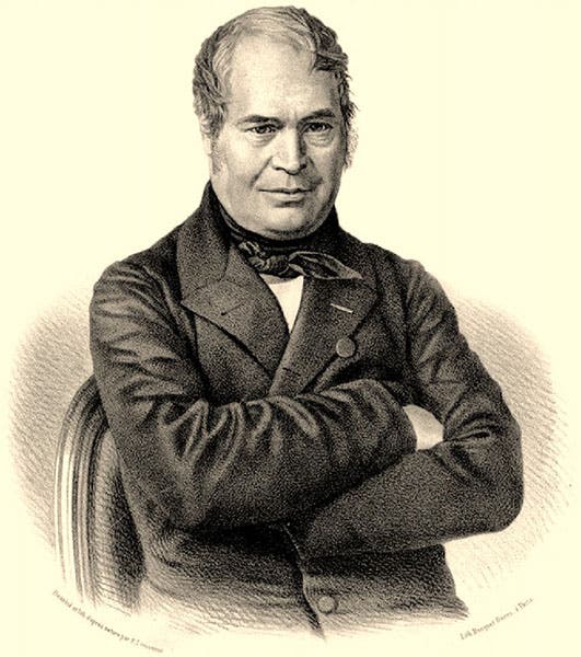 Portrait of Gérard Paul Deshayes, drawn and lithographed by E. Levasseur, Museum of Natural History, Paris (researchgate.net)