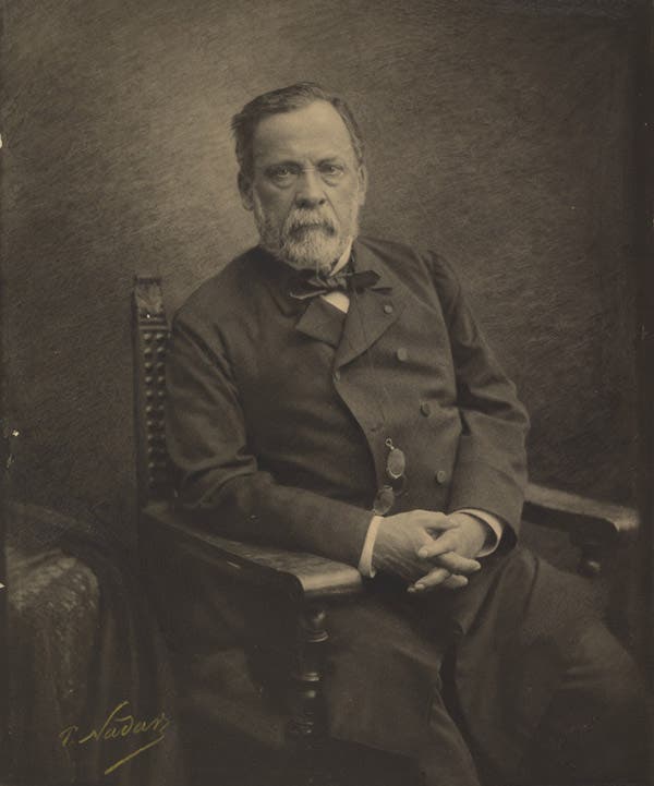 Photo of Pasteur by Nadar, 1886 (J. Paul Getty Museum)