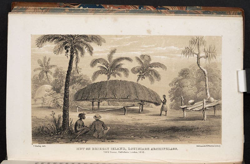 “Hut of Brierly Island, Louisiade Archipelago,” tinted lithograph after drawing by Thomas H. Huxley, in Narrative of the Voyage of H.M.S. Rattlesnake, by John MacGillivray, vol. 1, 1852; Oswald Brierly, after whom the island was named, was the landscape artist on board HMS Rattlesnake and did the watercolor of the ship that we show as our third image (Linda Hall Library)