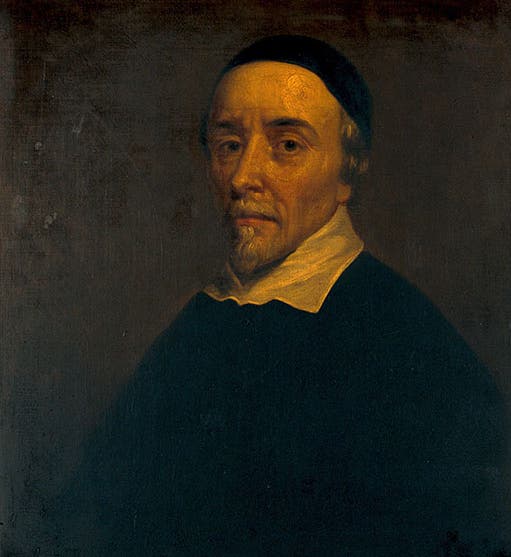 Portrait of William Harvey, studio of Peter Lely, oil on canvas, ca 1650, Wellcome Collection, London (wellcomecollection.org)
