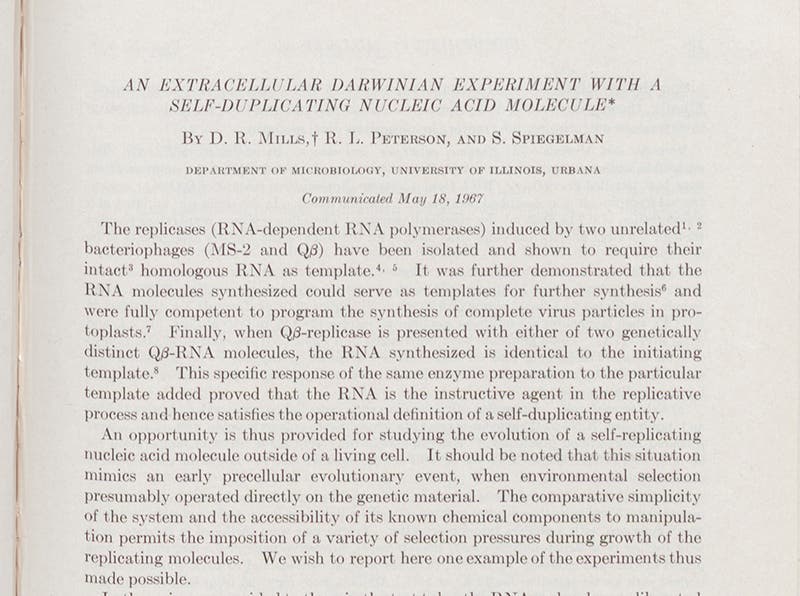 First paragraph of "An extracellular Darwinian experiment with a self-duplicating nucleic acid molecule," by Sol Spiegelman et al., Proceedings of the National Academy of Sciences, vol. 58, 1967 (Linda Hall Library)  