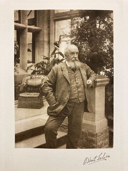 Portrait of Osbert Salvin, heliogravure frontispiece, Biologia Centrali-Americana: Introductory Volume, by Frederick DuCane Godman, 1915 (Linda Hall Library)