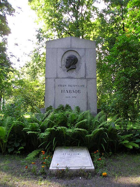 Tombstone of Ivan Petrovich Pavlov, Literatorskie Mostki (Writers’ Bridges), Volkovskoye Cemetery, St. Petersburg, recent photograph (findagave.com)
