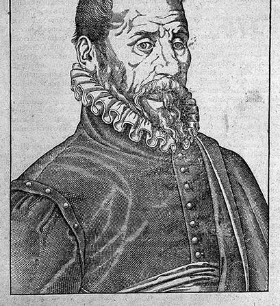 Portrait of Ambroise Paré, age 68, engraving, unsigned, from Latin Opera, 1582, Wellcome Collection(welcomecollection.org)