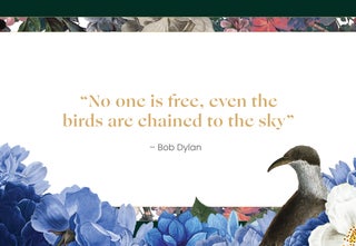 "No one is free, even the birds are chained to the sky" - Bob Dylan 